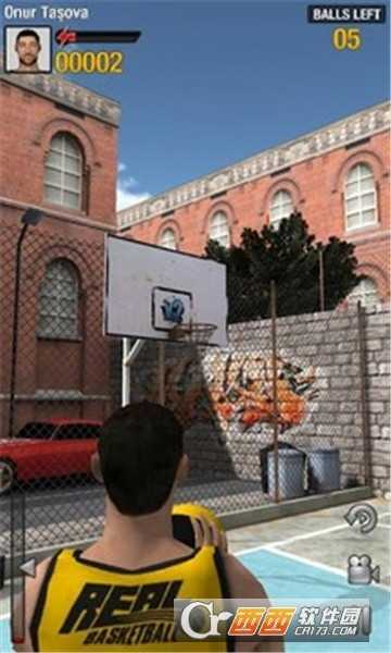 Real  Basketball