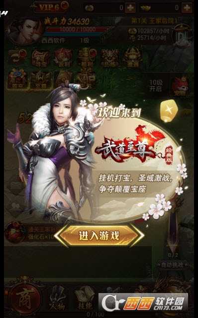 武道至尊BT版