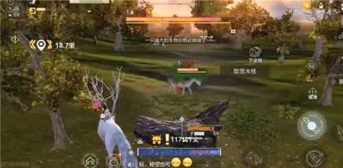 妄想山海羶根在哪 羶根怎么獲得