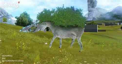 妄想山海羶根在哪 羶根怎么獲得