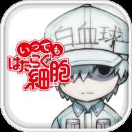 任何時(shí)候工作細(xì)胞