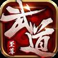 武道至尊折扣版(暫未上線)